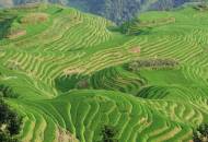 The Dragon's Backbone | Longsheng | China