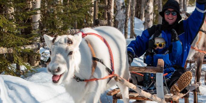 Family reindeer sleigh ride | Lapland | Finland