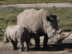 Flamingos-to-Falls-Itinerary-5-Overland-Safaris-Africa