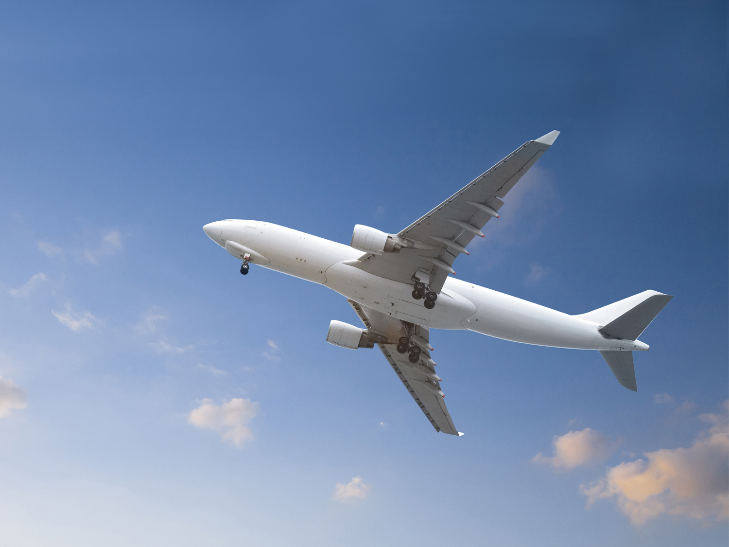 Flight upgrade option | Egypt