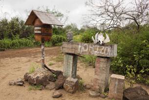 Florena Island - post barrel - Galapagos best places to visit - On The Go Tours