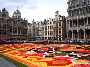 Flower Carpet in the Central Square of Brussels