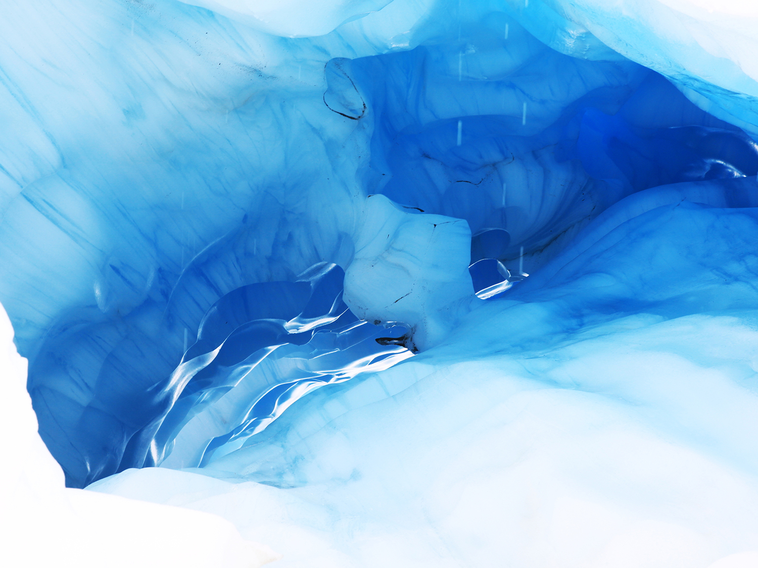 Day 12 - Christchurch to Fox Glacier