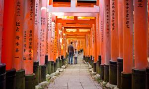 Fushimi inari in kyoto family