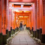 Family at Fuahimi Inari Shrine | Japan