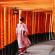 Tours to Japan which inlude a visit to Fushimi Inari Taisha in Kyoto