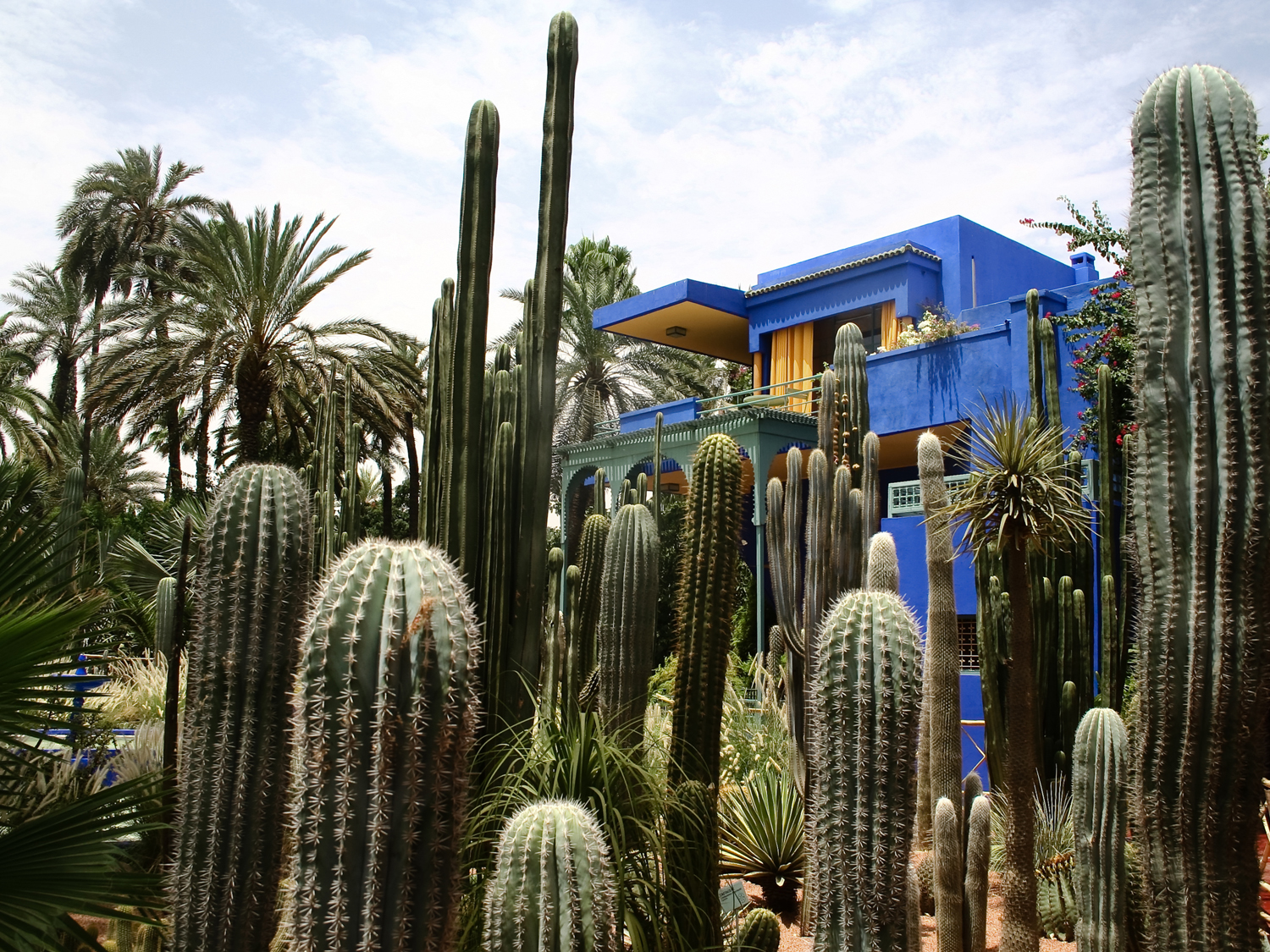 Cacti and a cubist villa at the Jardin Majorelle in Marrakech, Morocco