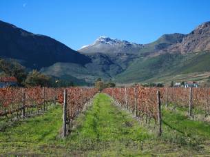 Garden-Route-Discovery-Itinerary-1-Southern-Safaris-Africa