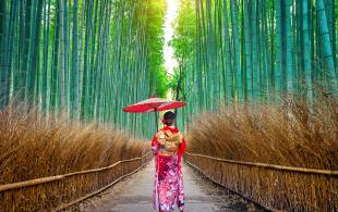 Geisha in Arashiyama Bamboo Forest