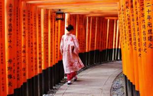 Geisha in Kyoto, Japan