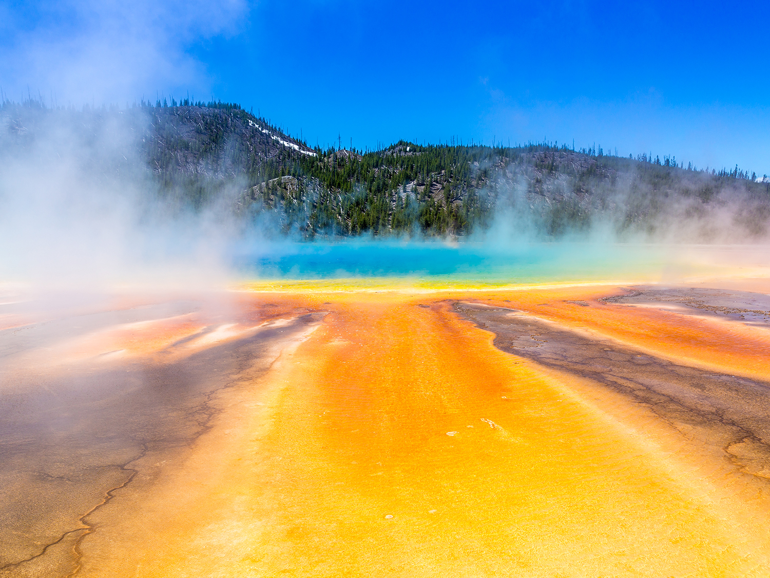 Grand Teton & Yellowstone Explorer - 5 days