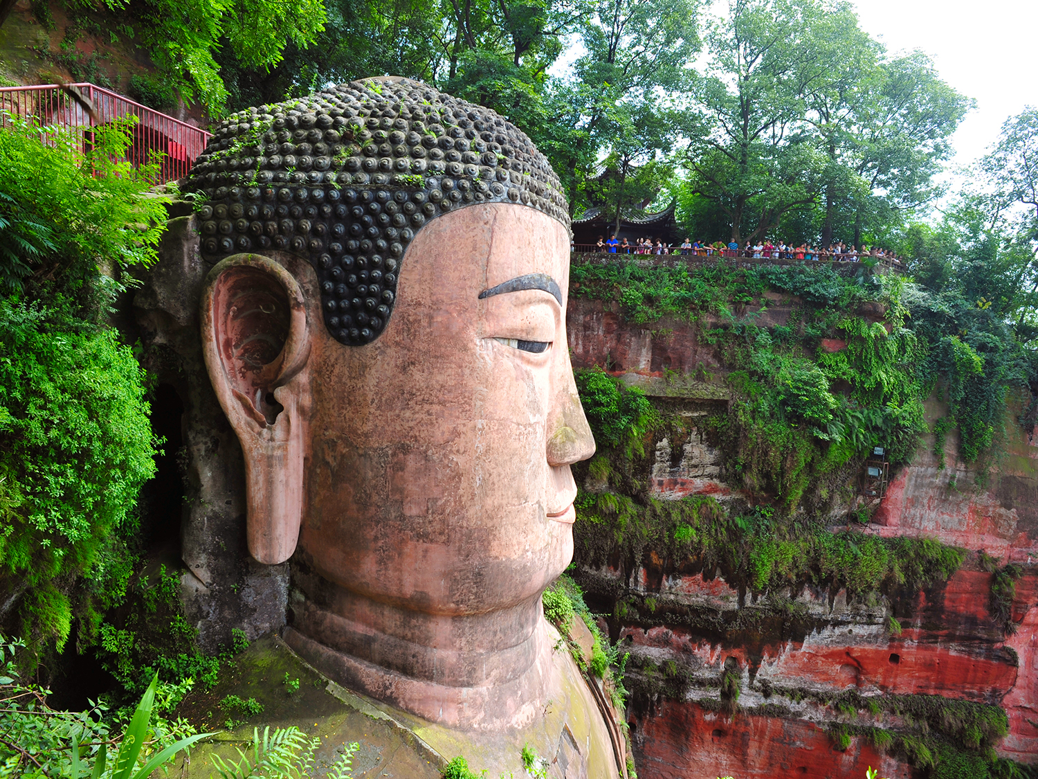 Day 8 - Chengdu