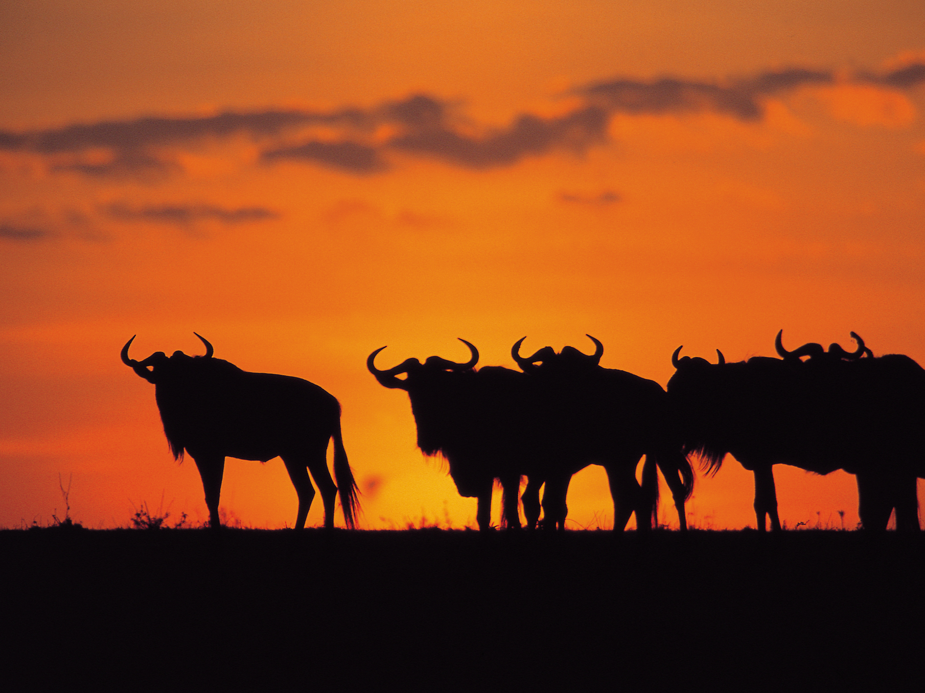 Day 5 - Ngorongoro Crater