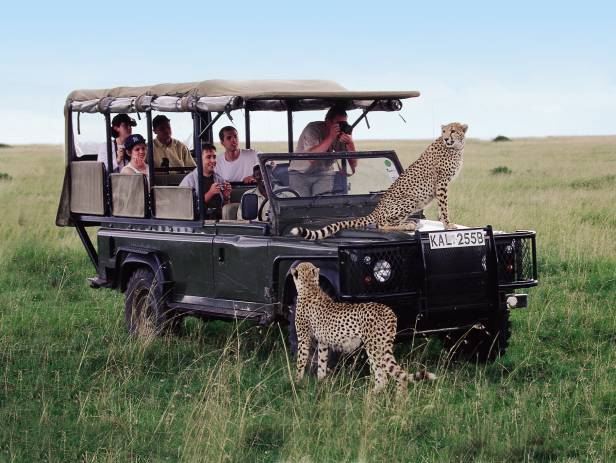Family of elephants walking across the road in front of a jeep in the Serengeti National Park