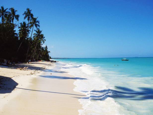 Zanzibar Highlight