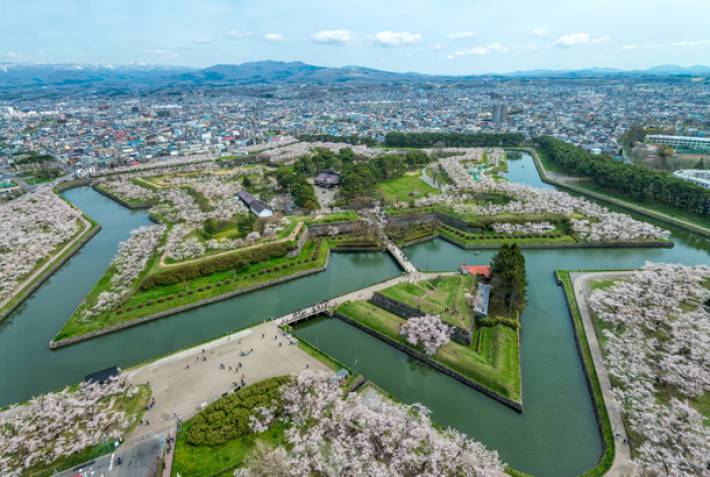 Goryokaku Fort in Hakodate city - Cherry blossom in Japan - On The Go Tours