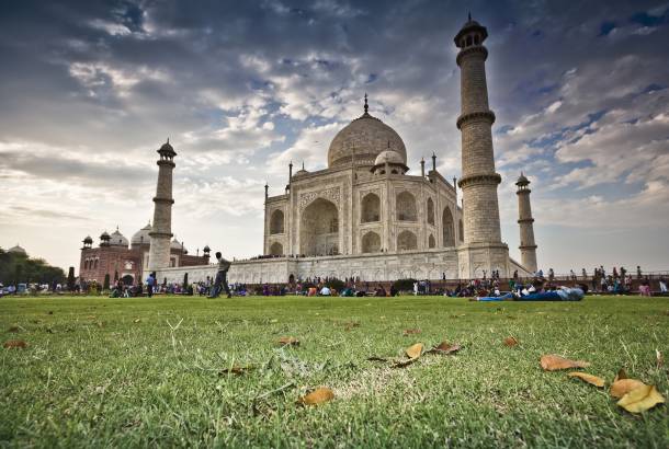 Great IFG Taj Shot