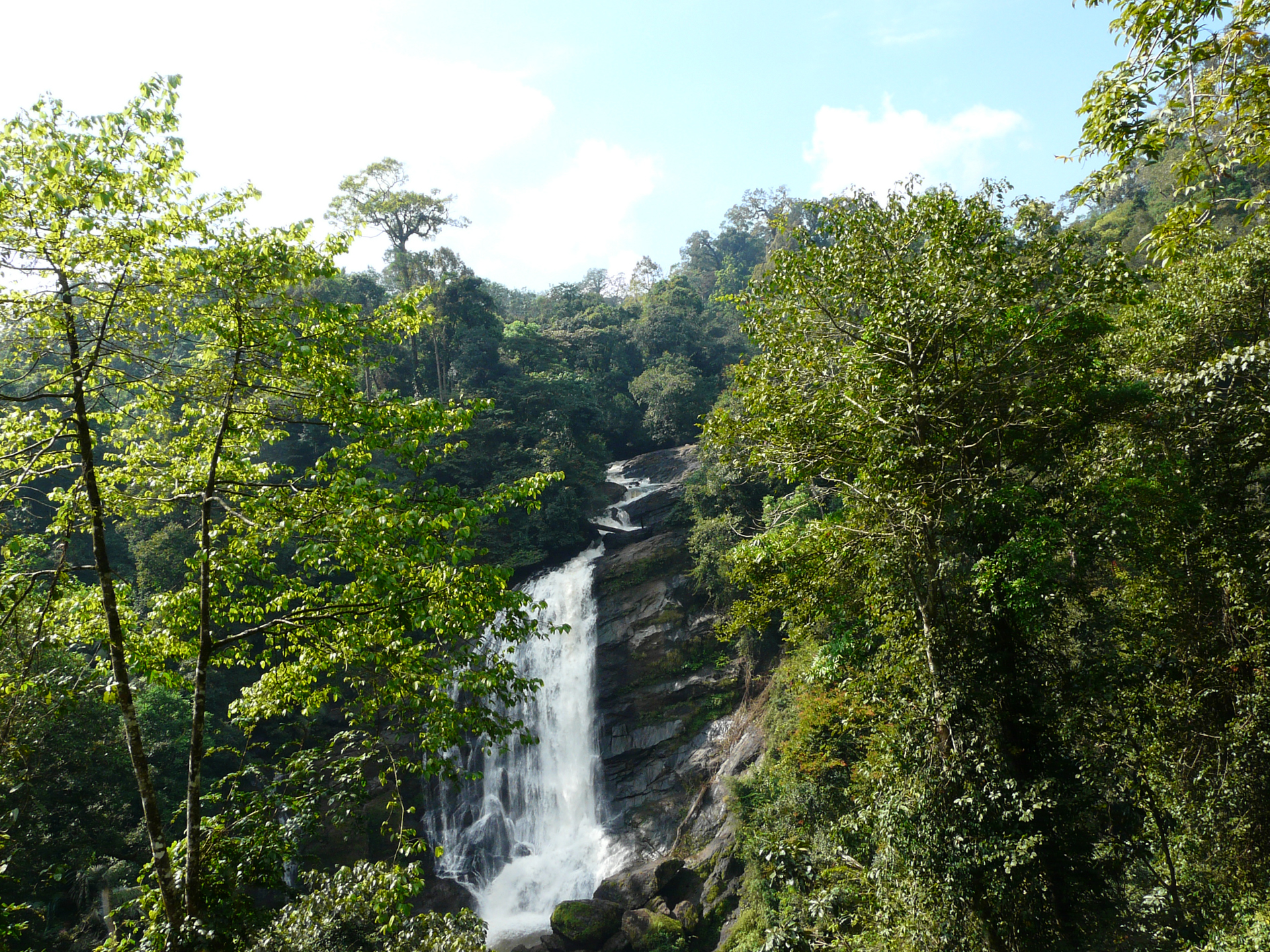 Days 10-11 - Wayanad 