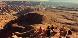 African Safari Packages and Tours 2023/2024 | On The Go Tours