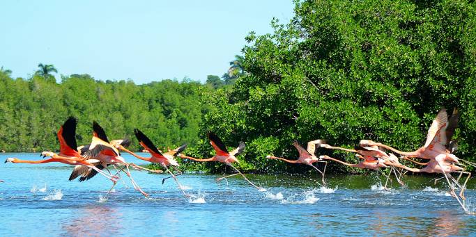 Guanaroca Lagoon - Cuba