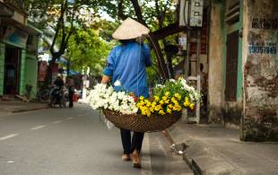 Hanoi City Backstreets Tour