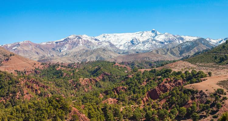 tourhub | On The Go Tours | Imperial Morocco & The Blue City - 8 Days 