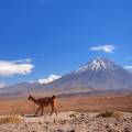 Desert, moonlike landscape of red, rugged rocks and mountains in the background