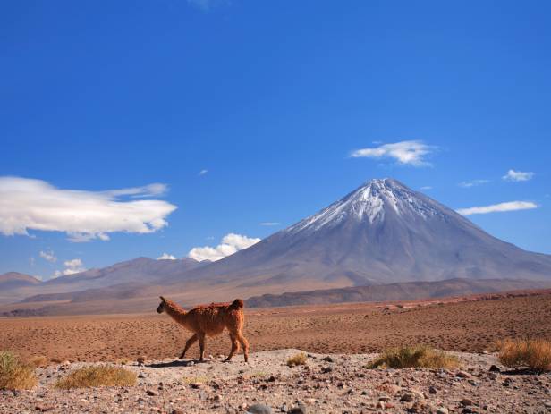 Desert, moonlike landscape of red, rugged rocks and mountains in the background