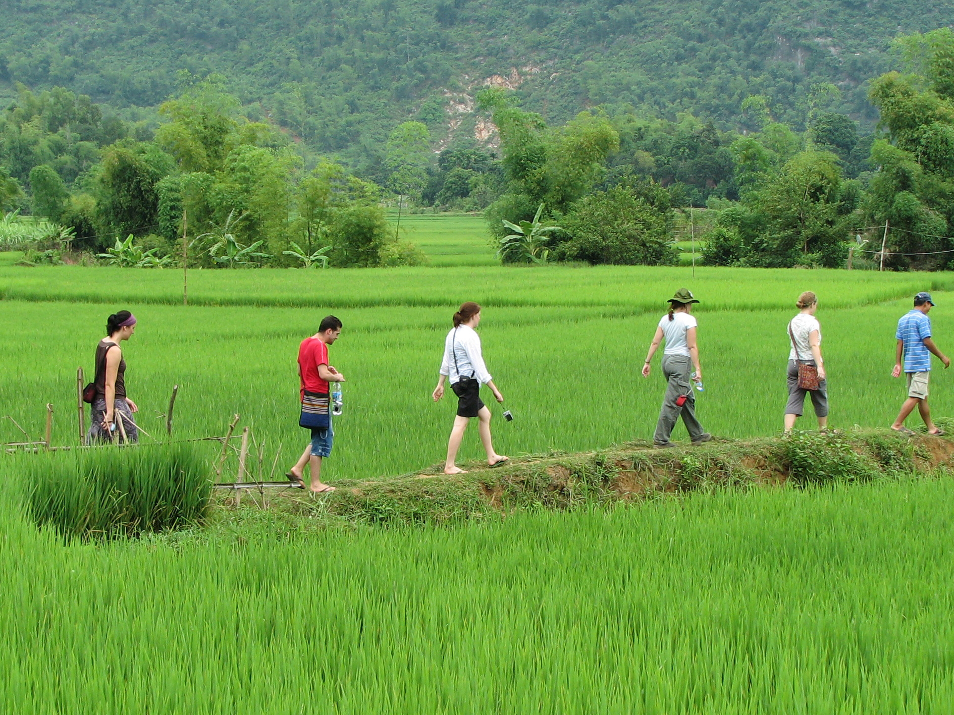 Day 11 - Mai Chau