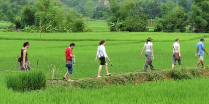 Hiking in the Rice Paddies Mai Chau