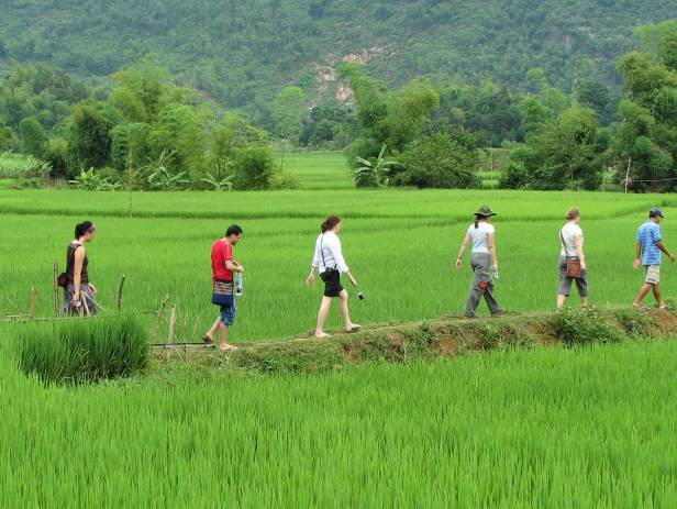 Lush green scenery stretching out to meet towering mountains in Mai Chau