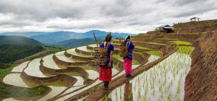 Hill tribe people in northern Vietnam - On the Go Tours