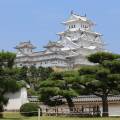 Himeji Castle, a World Heritage site, surrounded by cherry blossoms