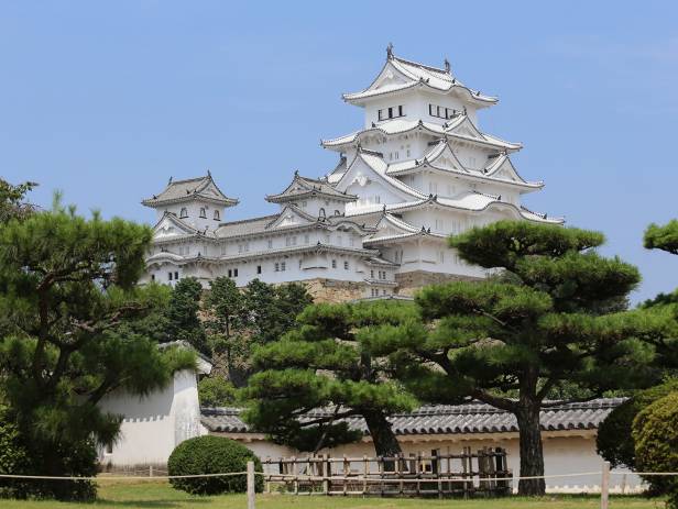 Himeji Castle, a World Heritage site, surrounded by cherry blossoms