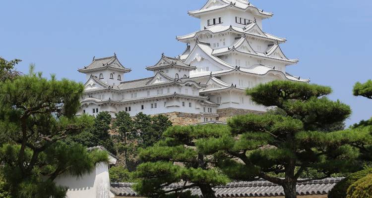 Tour image