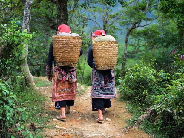 Lush green scenery stretching out to meet towering mountains in Mai Chau