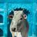 Holy cow in front of blue backdrop - India Tours - On The Go Tours