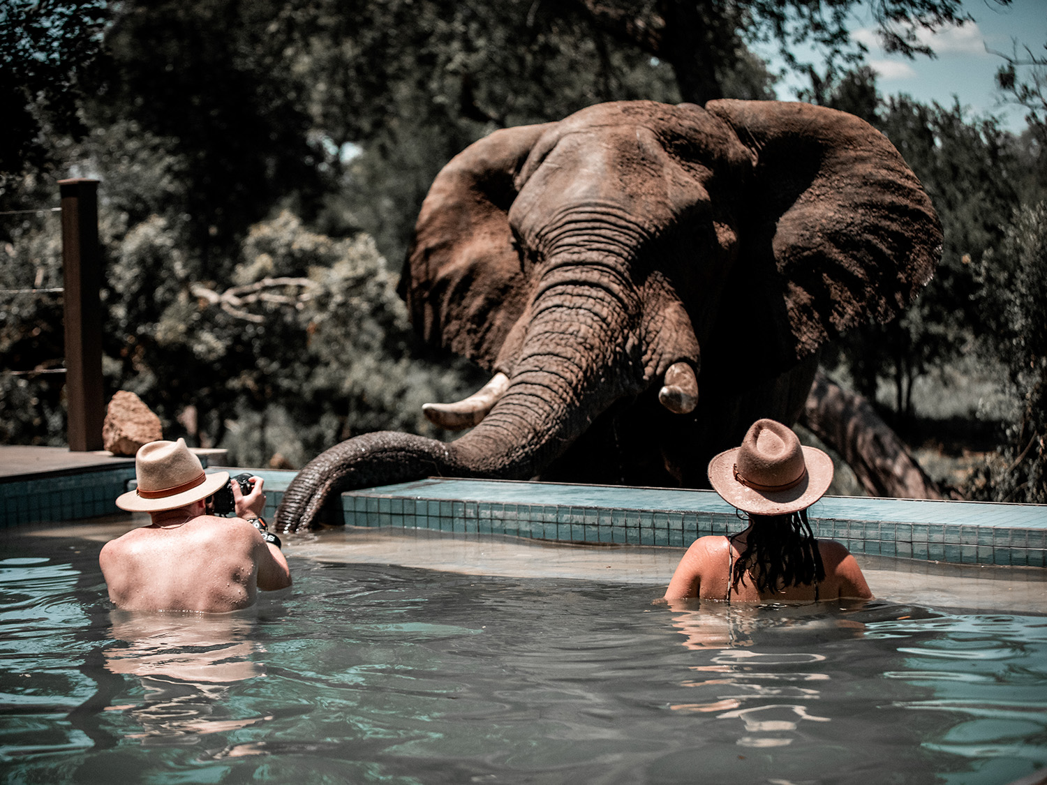 Cape Town & Kruger (Mantobeni Camp) - 9 days