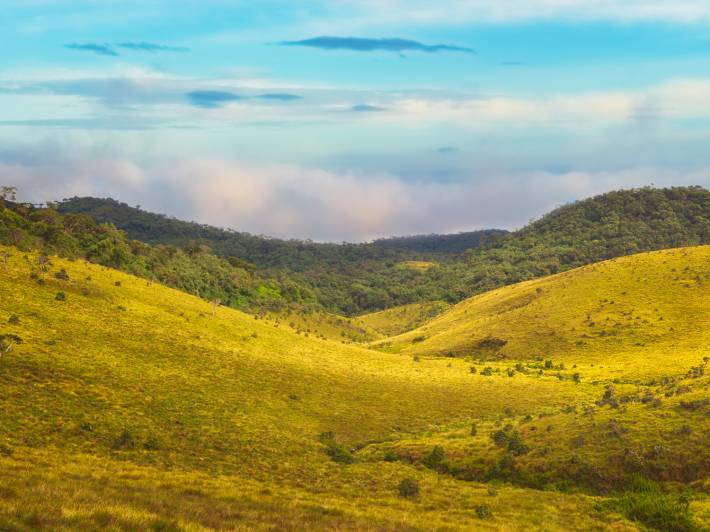 Horton Plains - Sri Lanka - On The Go Tours