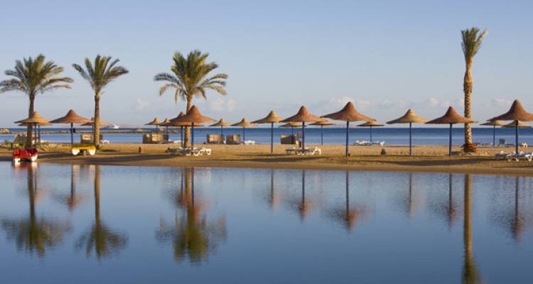 South African Serenity in the Land of the Pharaohs: An 8-Day Egyptian Adventure - Day 7-8: Red Sea Relaxation