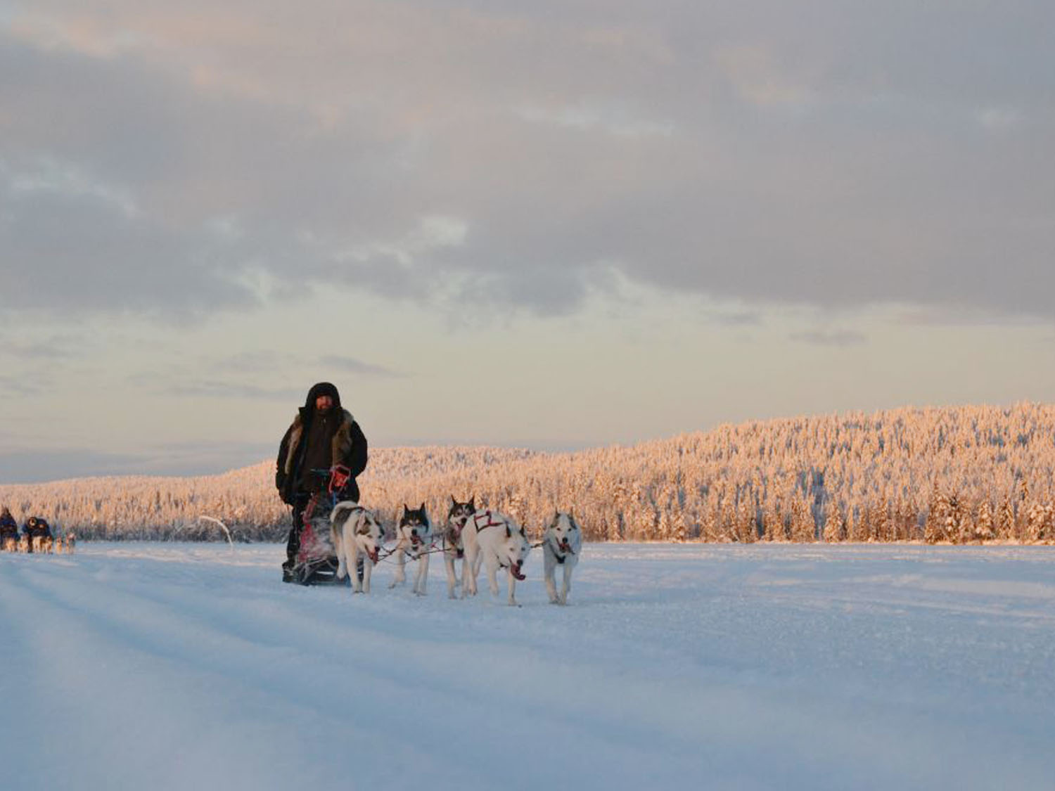 Day 2 - Rovaniemi