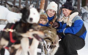 Husky sledding - Finland - On The Go Tours