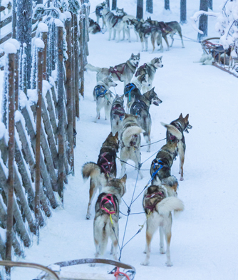 Day 2 - Rovaniemi
