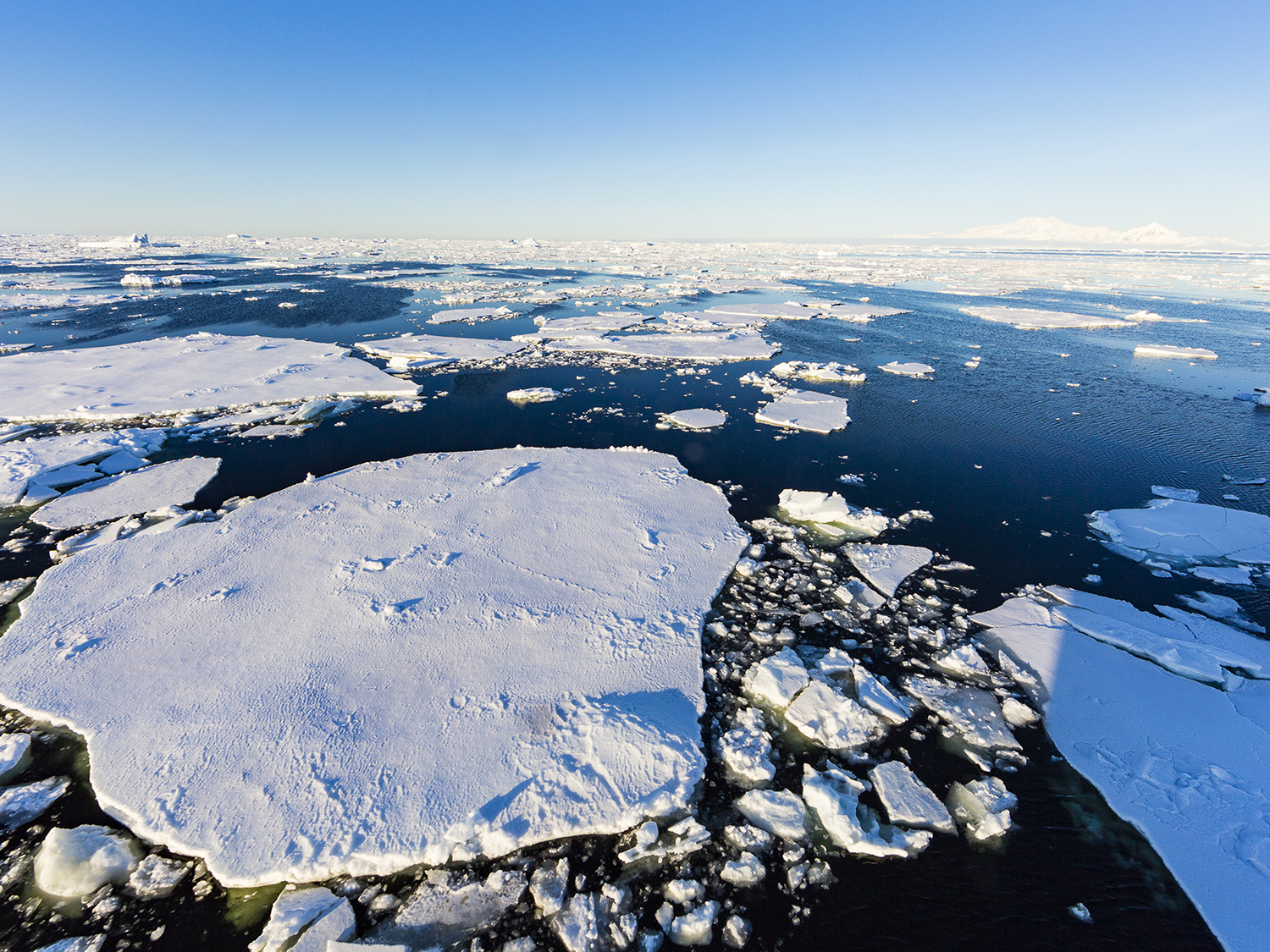 Days 10-11 - The Drake Passage