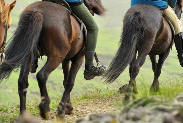 Iceland-Festivals-and-Events-horseracing-festival