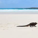 The Galapagos Islands | Ecuador | South America