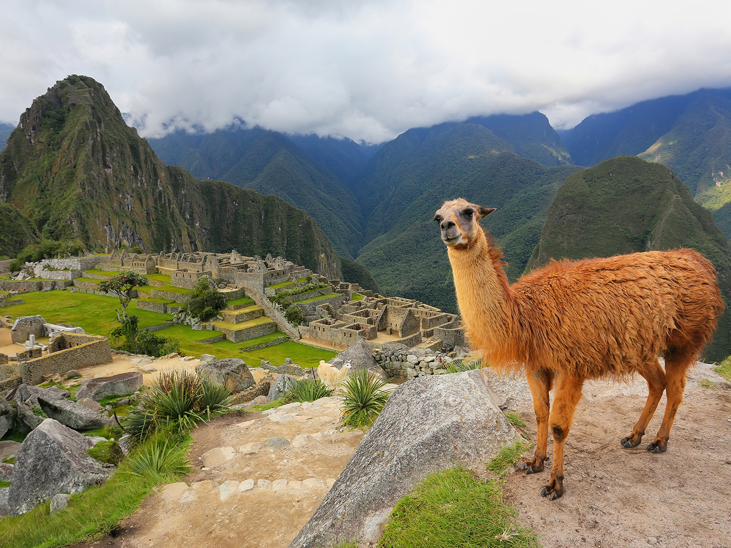 Highlights of Peru - 10 Days