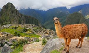 Inca Trail Trek & Titicaca  Peru  On The Go Tours