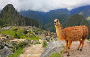 Inca Trail Trek & Titicaca  Peru  On The Go Tours