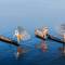 Fishermen on Inle Lake | Myanmar